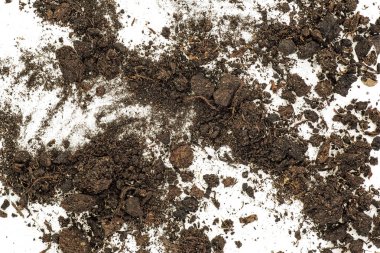 Toprak, beyaz arka plan üzerinde üstten görünüm izole kir yığını.