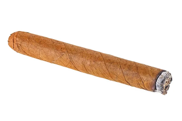 Brown Cigar White Background Burned Cigar — Stock Photo, Image