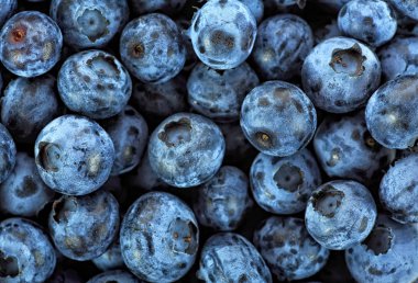 Yaban mersini çilek doku kapatın. Taze yabanmersini arka plan. 