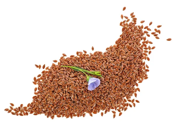 Семена Льна Белом Фоне Крупным Планом — стоковое фото