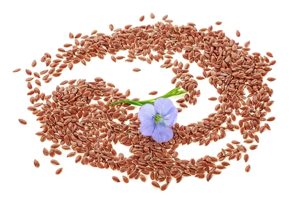 Pile Flax Seeds Flower Isolated White Background Top View — Stock Photo, Image