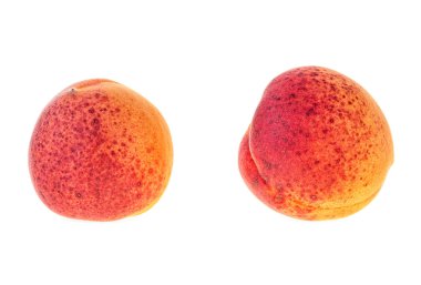 Beyaz bir arka plan üzerinde izole iki taze kayısı