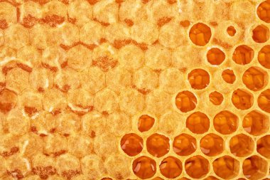 Arı peteğin yapısını arka plan