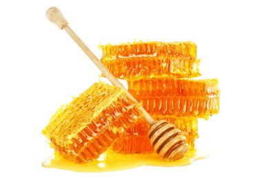 Beyaz arka plan üzerinde izole bal ayı ile petek