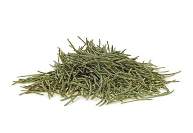 Çam ve köknar ağacının beyaz bir arka plan üzerinde izole iğne yapraklı ağaçlar iğnelerden