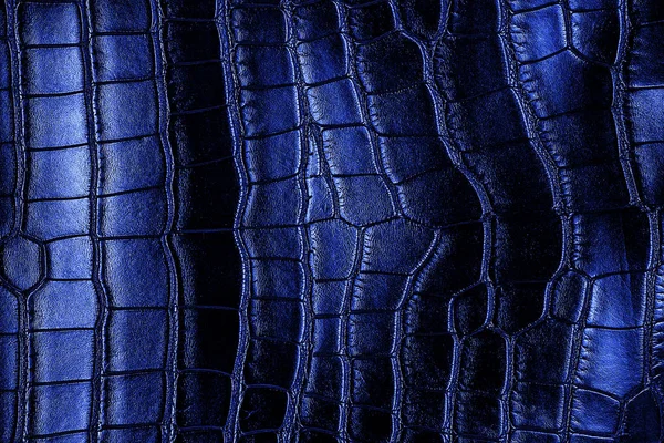 Texture Cuir Crocodile Bleu Comme Fond — Photo