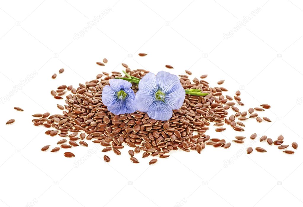 Brown flax seeds with flower isolated on white background