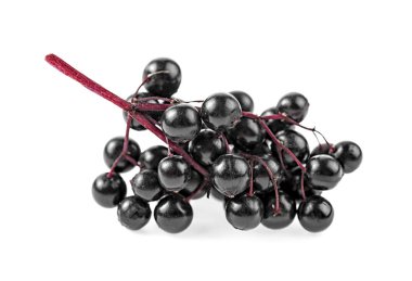 Elderberries beyaz arka plan üzerinde izole dal ile