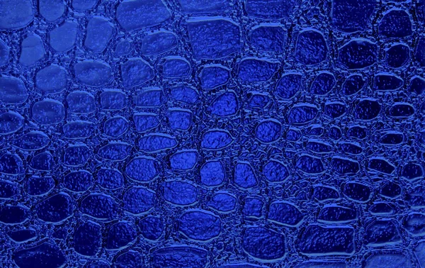 Синяя Текстура Кожи Аллигатора Рептилия — стоковое фото