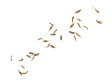 Kimyon ya da kimyon tohumları beyaz arka planda izole edilmiş. Üst görünüm.