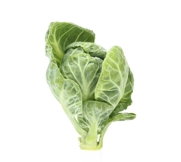 Enkele Brussel Sprout Geïsoleerd Tegen Witte Achtergrond — Stockfoto