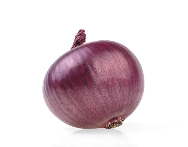 Red Onion Isolated White Background — Stock Photo, Image