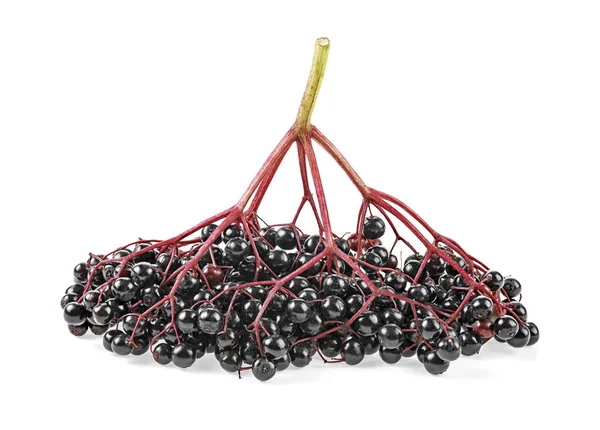 Siyah Yaşlı Beyaz Bir Arka Plan Üzerinde Elderberries Izole — Stok fotoğraf