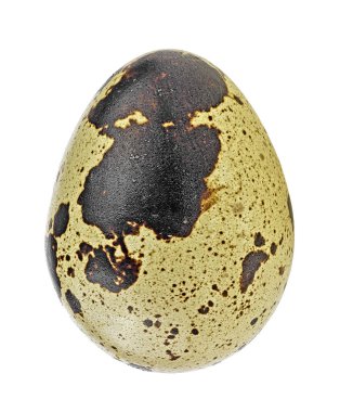 Bıldırcın yumurta beyaz zemin üzerine