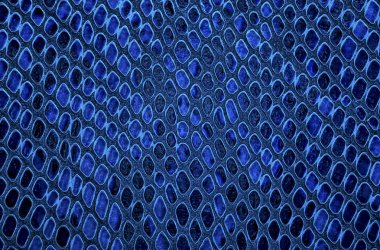 Yılan arka plan cilt. Mavi renk.