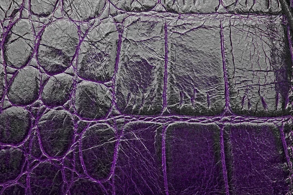 紫色のワニ皮テクスチャ背景 クローズ アップ — ストック写真
