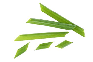 Üstten görünüm, beyaz bir arka plan kıyılmış yeşil soğan ot.