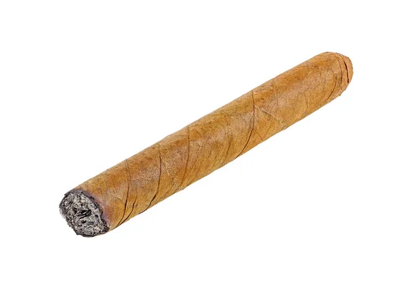 Smoking Havana Cigar Isolated White Background — Stock Photo, Image