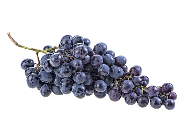 Свіжий Синій Виноград Ізольований Білому Тлі — стокове фото