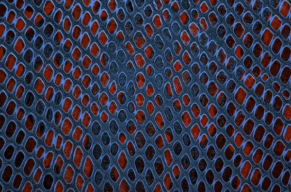Textura Colorida Piel Serpiente Patrón Sin Costura — Foto de Stock