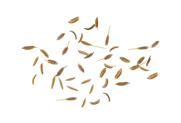 Семена Тмина Выделены Белом Фоне Вид Сверху — стоковое фото