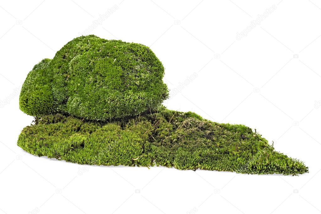 Green mossy hill isolated on white background