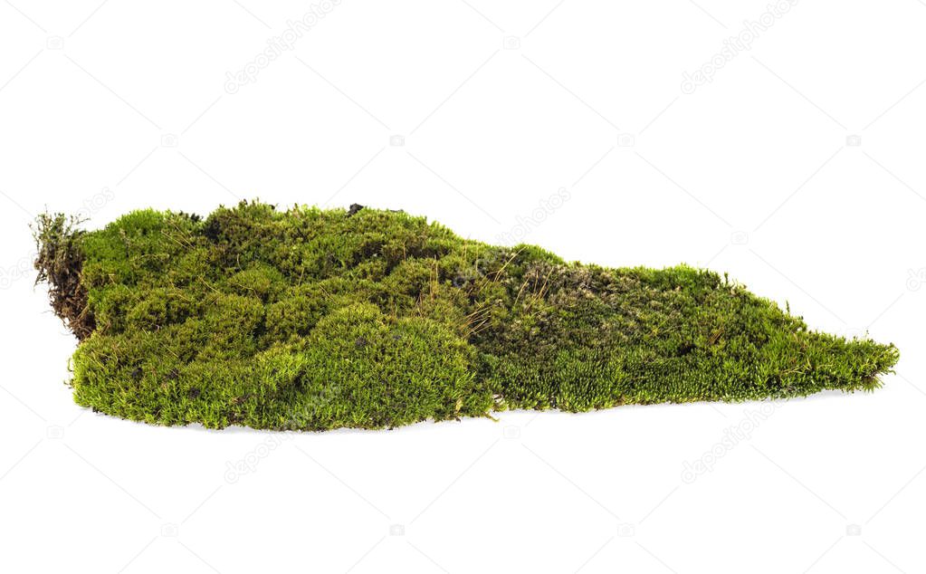 Green mossy hill isolated on white background