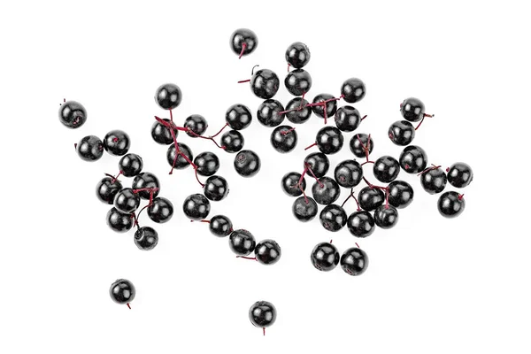 Taze Elderberries Beyaz Arka Plan Üzerinde Üstten Görünüm Izole Sambucus — Stok fotoğraf