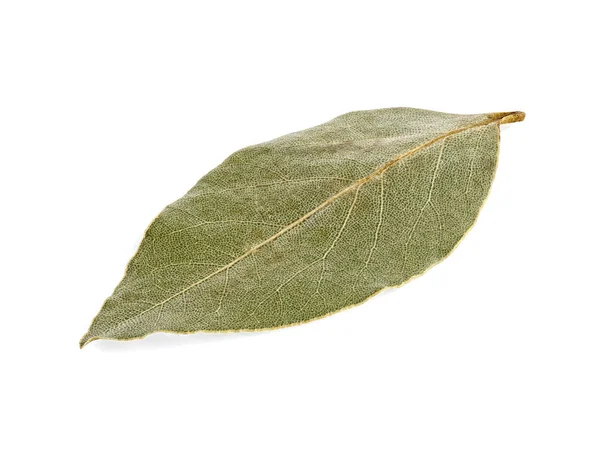Dried Laurel Leaf Isolated White Background — Stock Photo, Image