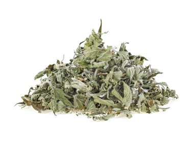 Kurutulmuş Motherwort beyaz arka plan üzerinde. Yi mu cao. 