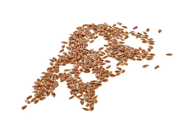 Close up of flax seeds isolated on white background. Full depth — Stock Photo, Image