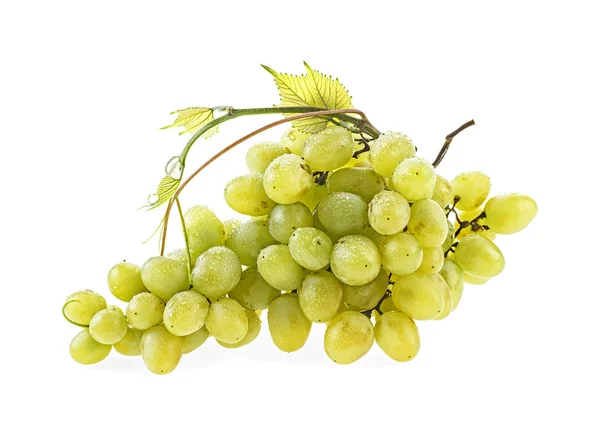 Група жовтого винограду з листям ізольовані на білому тлі — стокове фото