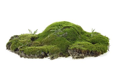Beyaz arka plan üzerinde izole yeşil yosunlu hill