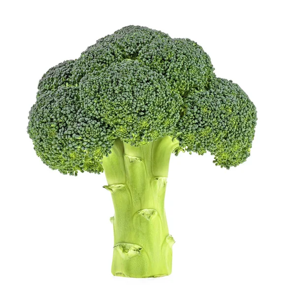 Brokoli segar terisolasi pada latar belakang putih. Kedalaman penuh dari fie — Stok Foto