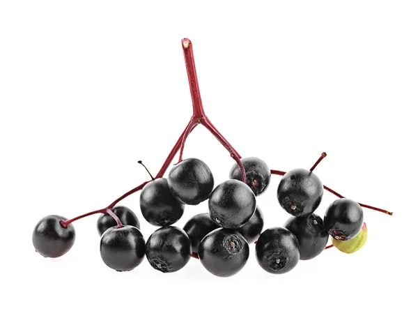 Black elderberry fresh fruit isolated on white background — Stock Photo, Image