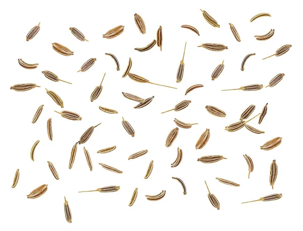 Semena kmínu izolovaných na bílém pozadí. Pohled shora. — Stock fotografie