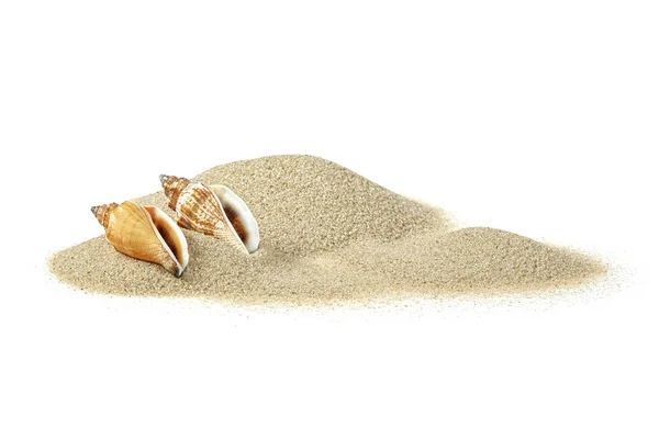 모래 더미에 쌓여 있는 바 다 조개들은 흰 배경에 고립되어 있다 — 스톡 사진