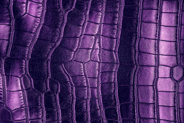 Fondo oscuro - textura de piel de cocodrilo violeta . —  Fotos de Stock