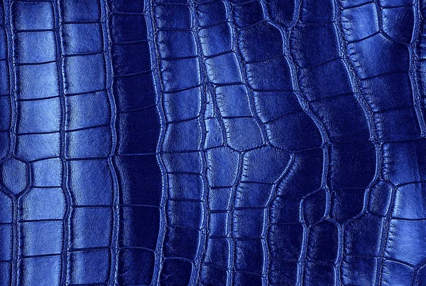 Crocodile skin blue color leather texture background — Stock Photo, Image