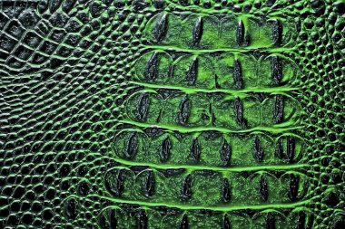 Koyu yeşil timsah desenli arka plan