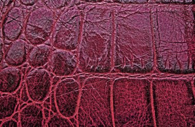 Soyut kırmızı timsah deri dokusu, arka plan olarak.