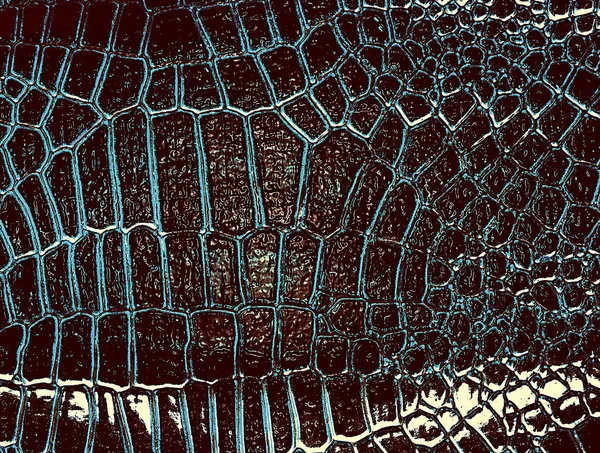 Δερμάτινη υφή από δέρμα αλιγάτορα. Αφηρημένο φόντο. — Φωτογραφία Αρχείου