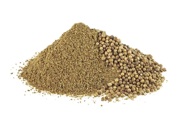 Indisches Gewürz - Samen und Pulver von Koriander Gewürz angeordnet auf — Stockfoto