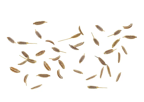 Semena kmínu izolovaných na bílém pozadí. Pohled shora. — Stock fotografie