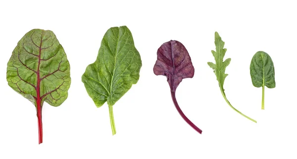 Alimento saludable y dietético - mezcla de ensalada con rúcula, espinacas, hojas o — Foto de Stock