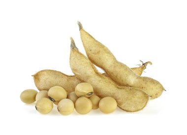 Soya bakla ve fasulye beyaz arka plan izole