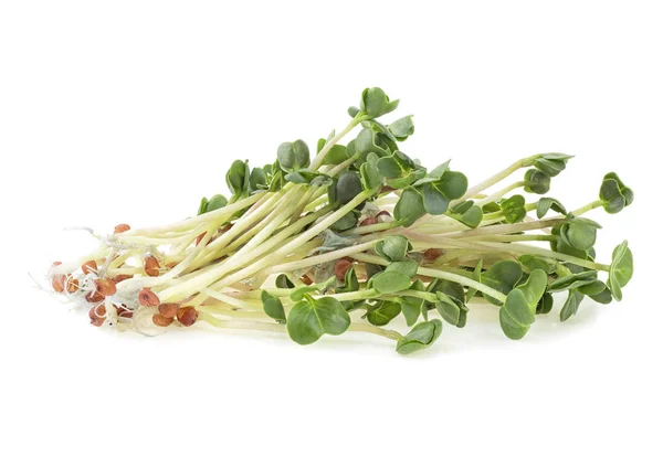 Jonge Sprout micro Green geïsoleerd op een witte achtergrond. Micro ba — Stockfoto