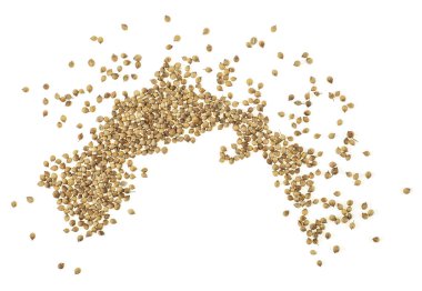 Beyaz arka plan üzerinde kişniş tohumu üstten görünüm