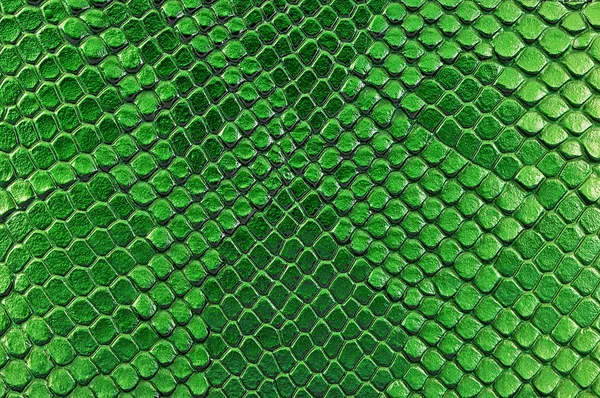 Green snake skin, as background. Reptile.
