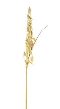 Beyaz bir arka planda izole yulaf bir fırıncılık